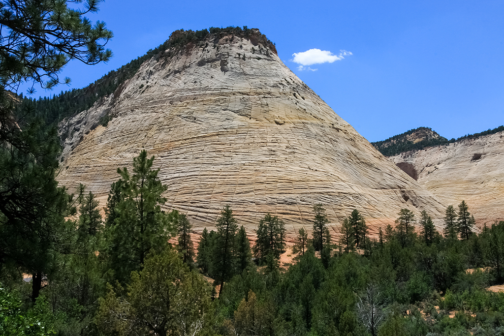 06-22 - 03.JPG - Zion National Park, AZ